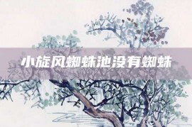 小旋风蜘蛛池没有蜘蛛