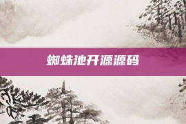 蜘蛛池开源源码