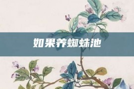 如果养蜘蛛池