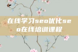 在线学习seo优化seo在线培训课程