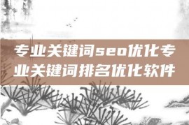 专业关键词seo优化专业关键词排名优化软件