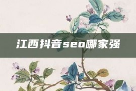 江西抖音seo哪家强