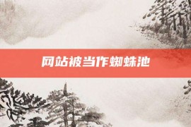 网站被当作蜘蛛池