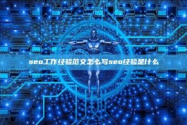 seo工作经验范文怎么写seo经验是什么