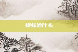 蜘蛛池什么