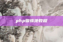 php蜘蛛池教程