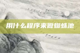 用什么程序来做蜘蛛池