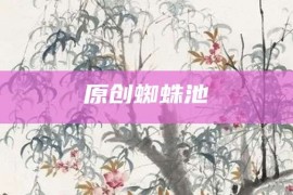 原创蜘蛛池