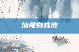 汕尾蜘蛛池