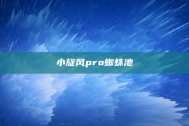 小旋风pro蜘蛛池