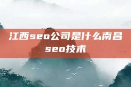 江西seo公司是什么南昌seo技术