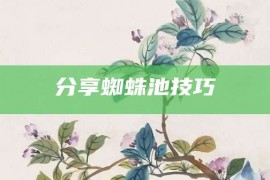 分享蜘蛛池技巧