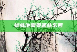 蜘蛛池需要哪些东西