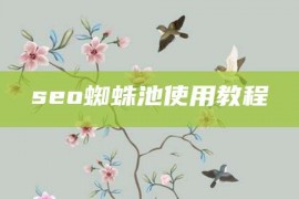 seo蜘蛛池使用教程