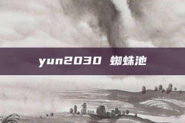 yun2030 蜘蛛池