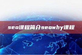 seo课程简介seowhy课程