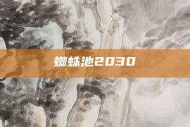 蜘蛛池2030