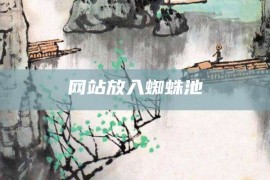 网站放入蜘蛛池