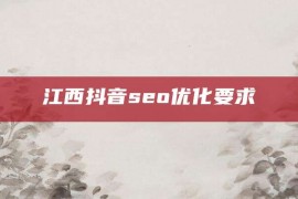 江西抖音seo优化要求