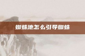 蜘蛛池怎么引导蜘蛛