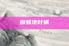 蜘蛛池叶螨