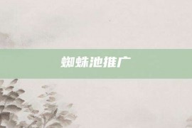 蜘蛛池推广