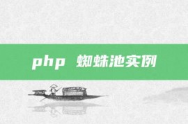 php 蜘蛛池实例