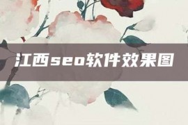 江西seo软件效果图