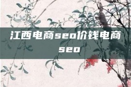 江西电商seo价钱电商 seo