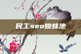 民工seo蜘蛛池