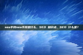 seo手段seo手段是什么，SEO 知识点，SEO 什么是？