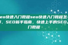 seo快速入门教程seo快速入门教程怎么样，SEO新手指南，快速上手的SEO入门教程