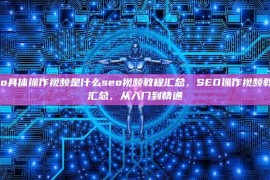 seo具体操作视频是什么seo视频教程汇总，SEO操作视频教程汇总，从入门到精通