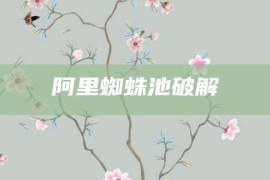 阿里蜘蛛池破解