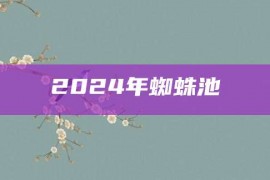 2024年蜘蛛池