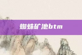 蜘蛛矿池btm