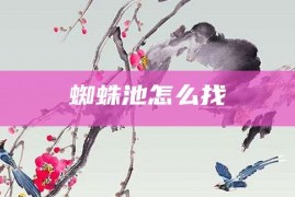 蜘蛛池怎么找