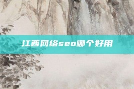 江西网络seo哪个好用