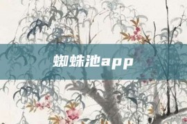 蜘蛛池app