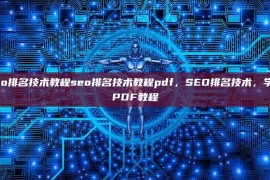 seo排名技术教程seo排名技术教程pdf，SEO排名技术，学习PDF教程