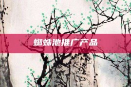 蜘蛛池推广产品