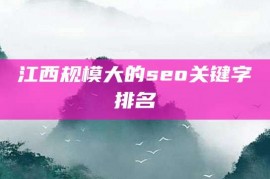 江西规模大的seo关键字排名