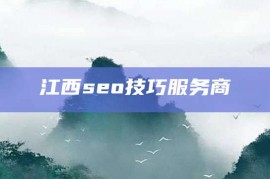 江西seo技巧服务商