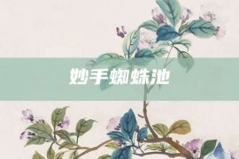 妙手蜘蛛池