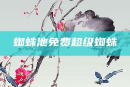 蜘蛛池免费超级蜘蛛