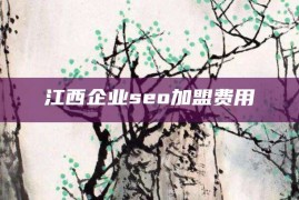 江西企业seo加盟费用