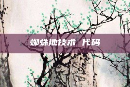 蜘蛛池技术 代码