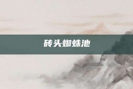 砖头蜘蛛池