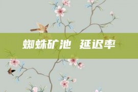 蜘蛛矿池 延迟率