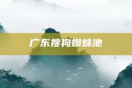 广东搜狗蜘蛛池